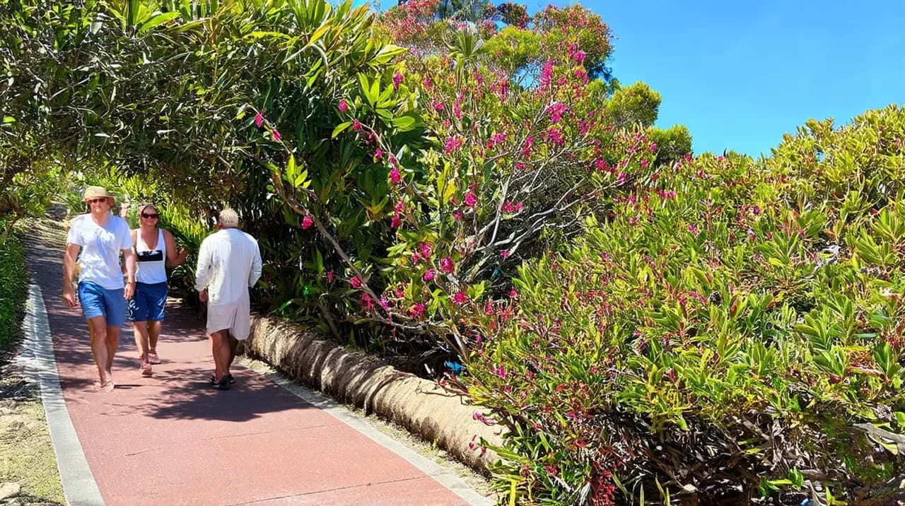 Best Free Walking Tours Byron Bay: Discover the Coast