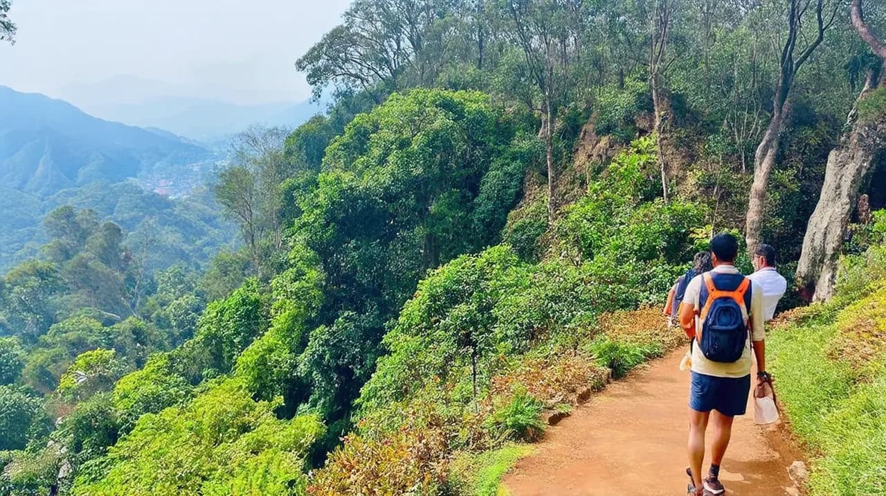 Best Free Walking Tours Kodaikanal: Explore Kodai on Foot