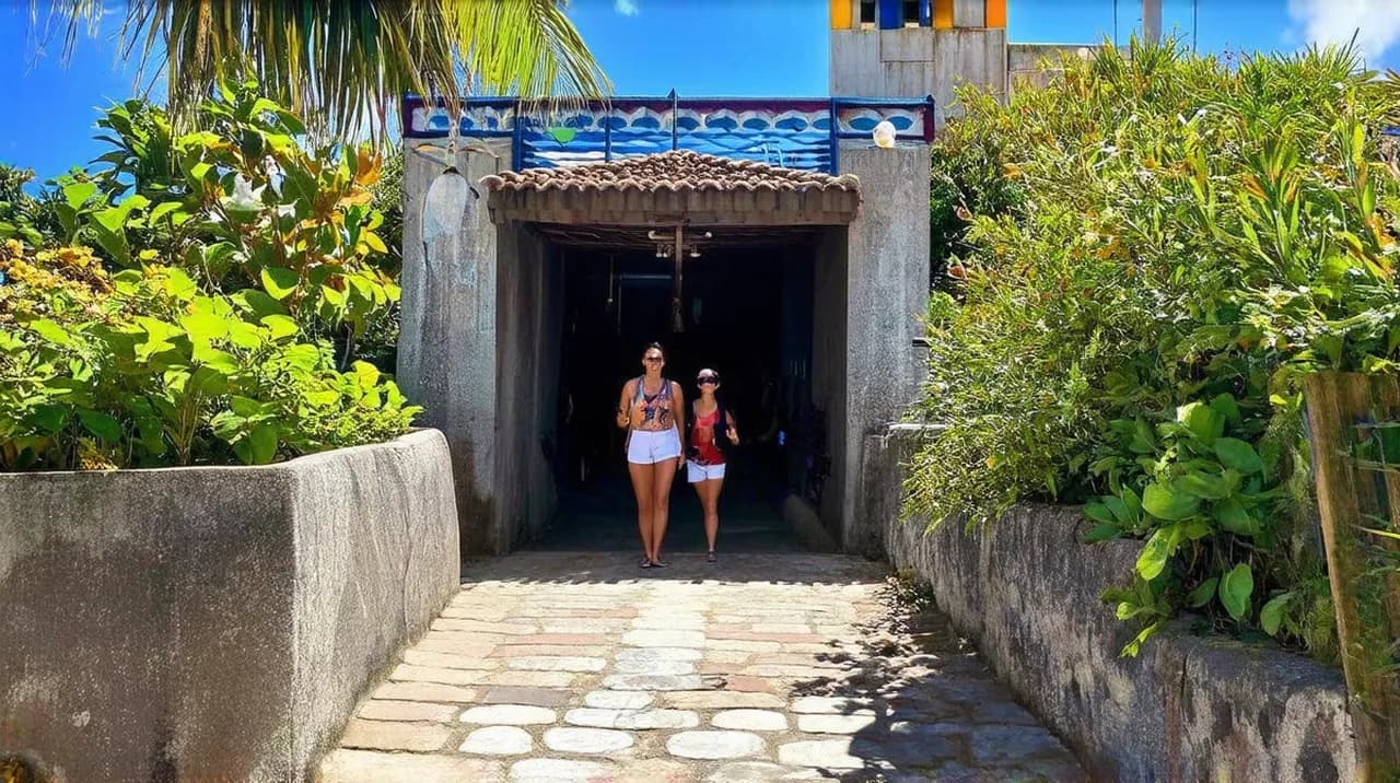 Best Free Walking Tours Moalboal: Discover Paradise