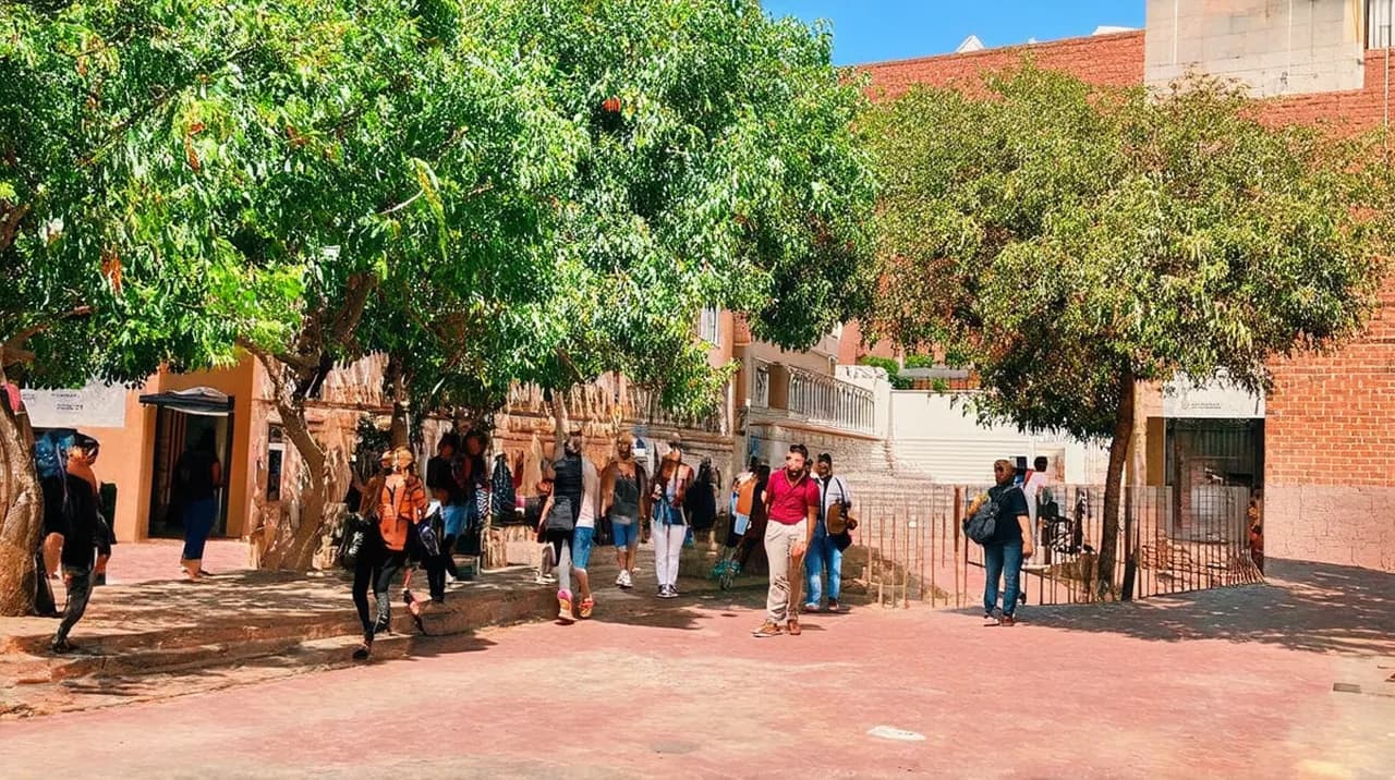 Best Free Walking Tours Pretoria: Explore the City