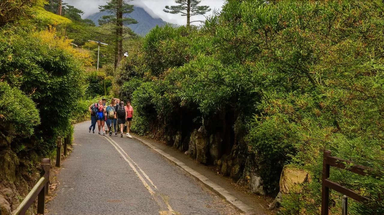 Best Free Walking Tours Pucón: Explore on Foot