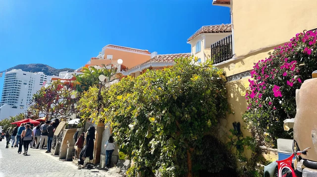 Best Free Walking Tours Puerto de la Cruz