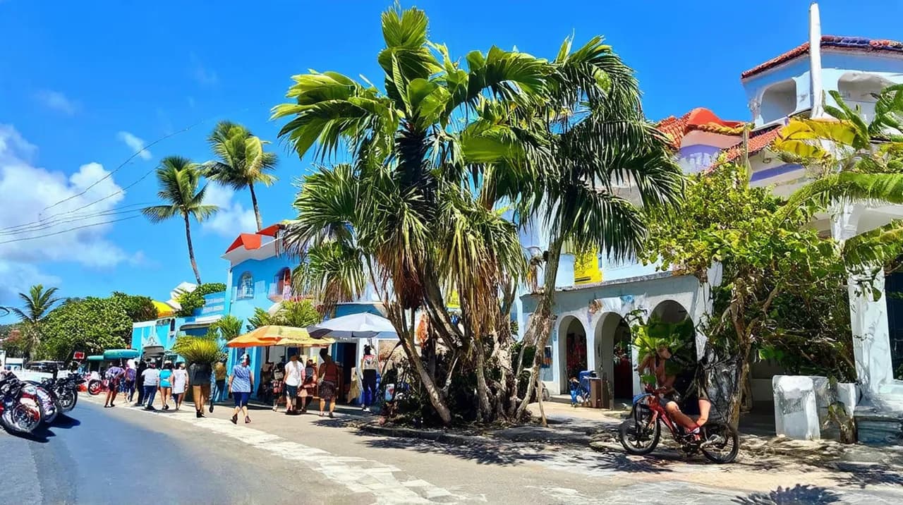 Best Free Walking Tours Puerto Maldonado: Discover the Jungle