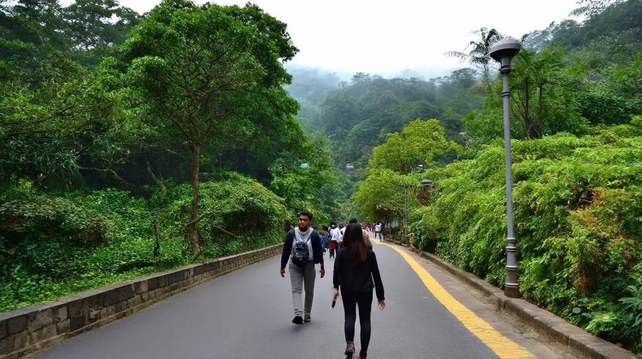 Best Free Walking Tours Shillong: Explore the City