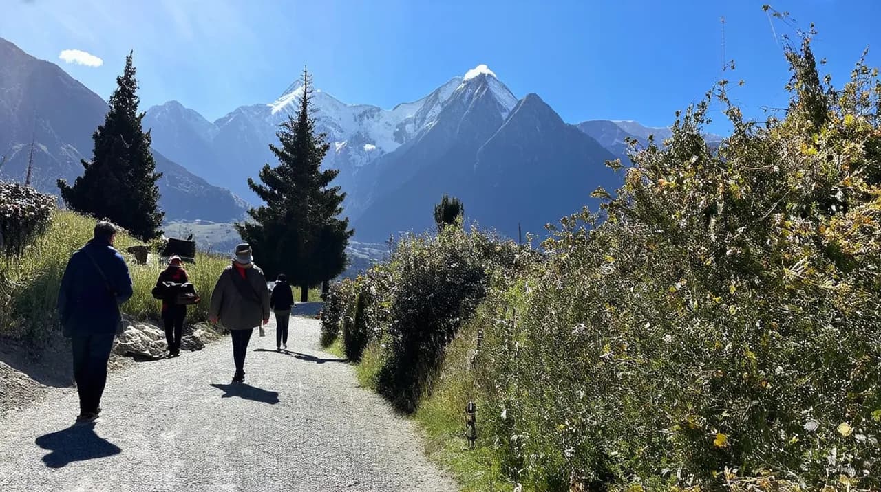 Free Guided Walking Tours Coyhaique: Discover the Beauty