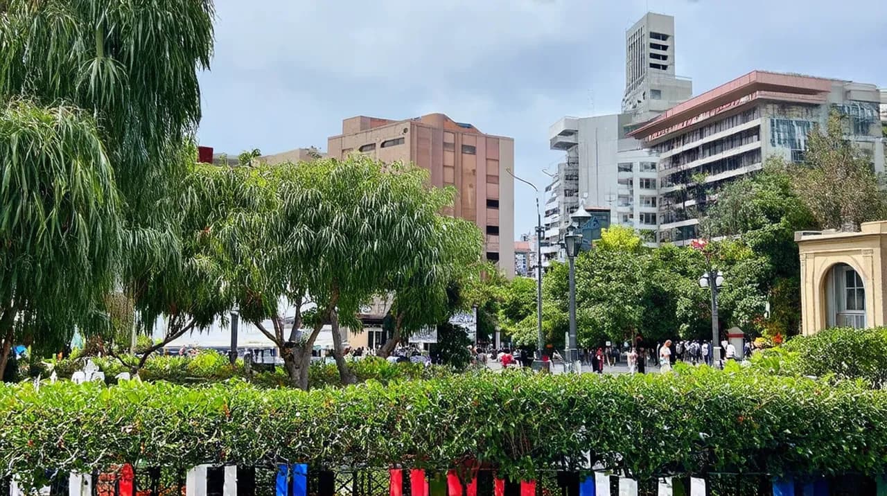 Free Guided Walking Tours Curitiba: Explore the City