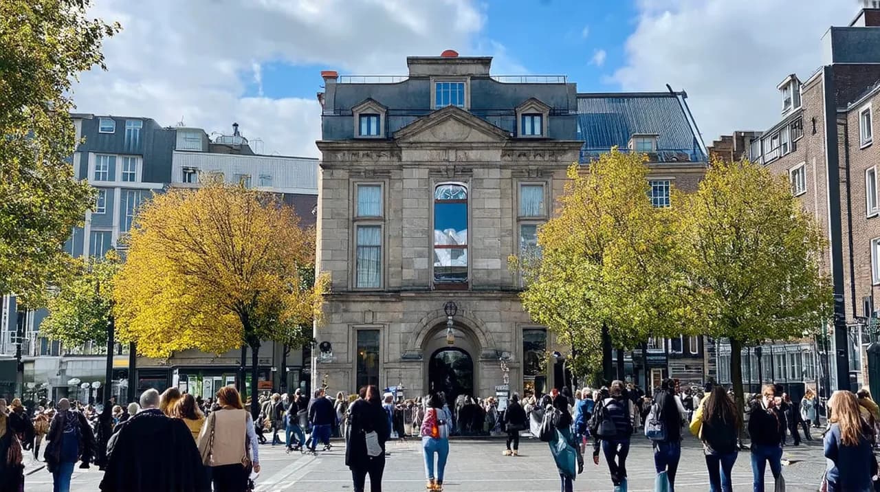 Free Guided Walking Tours Den Haag: Explore the City