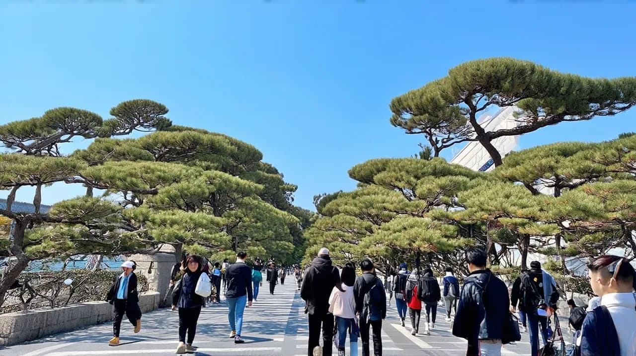 Free Guided Walking Tours Gangneung: Explore on Foot