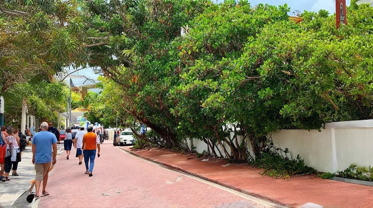 Free Guided Walking Tours Grand Baie: Explore on Foot