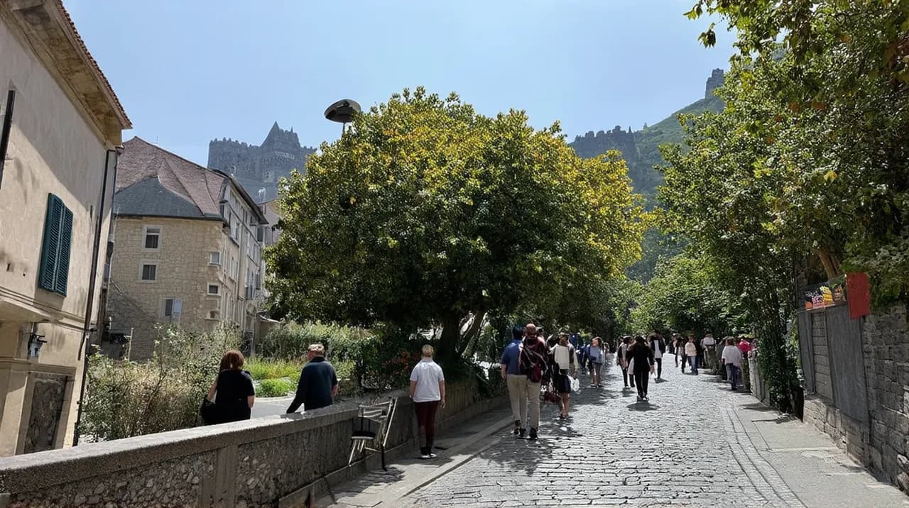 Free Guided Walking Tours Guimarães: Discover the History