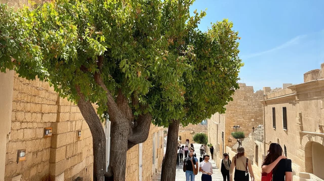 Free Guided Walking Tours Mdina: Discover the Ancient City