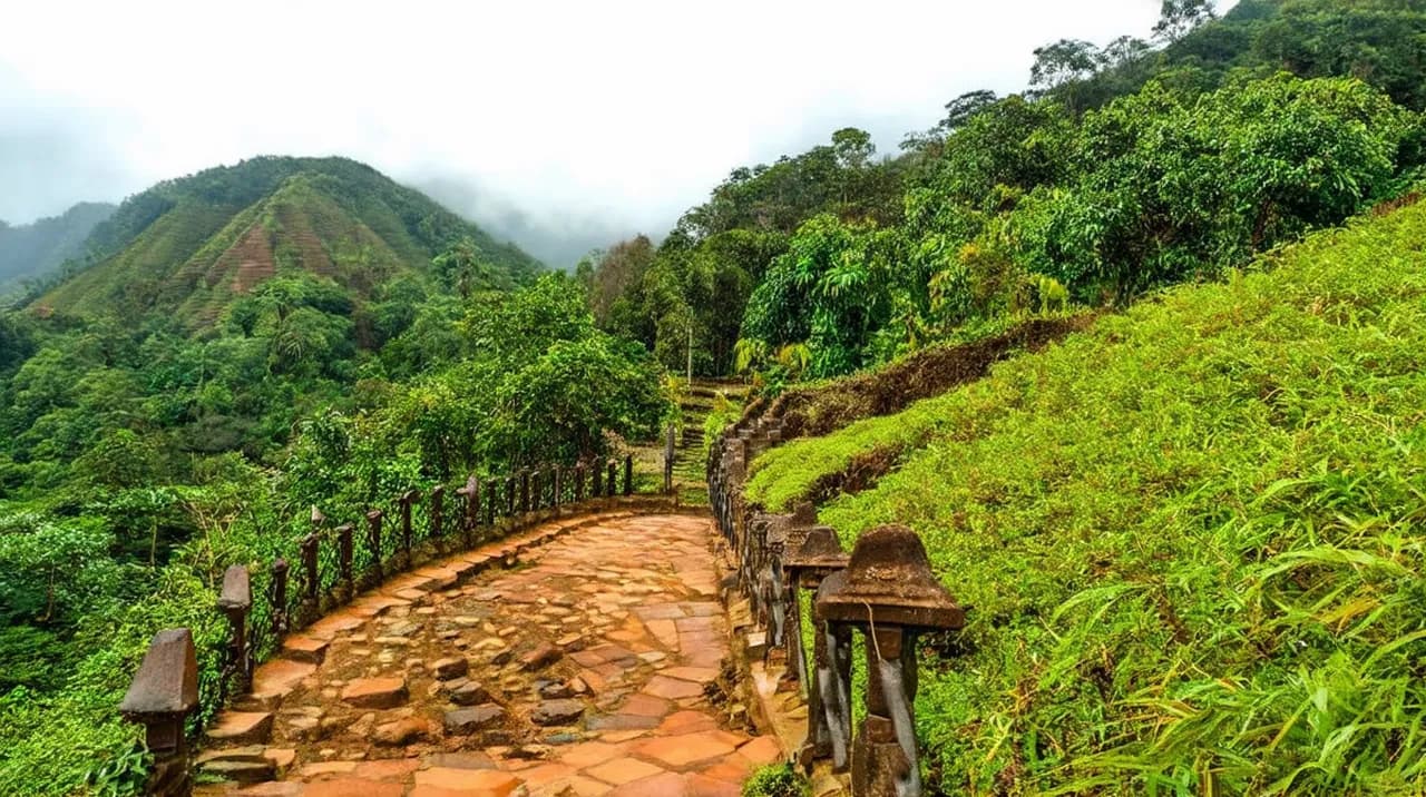 Free Guided Walking Tours Munnar: Explore Nature’s Paradise