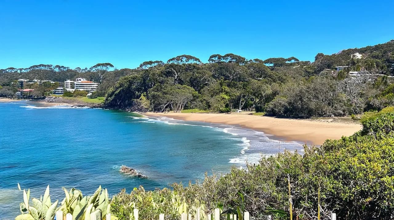 Free Guided Walking Tours Noosa: Explore Stunning Sights