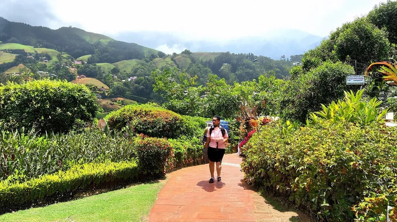 Free Guided Walking Tours Nuwara Eliya: Explore the Hill City