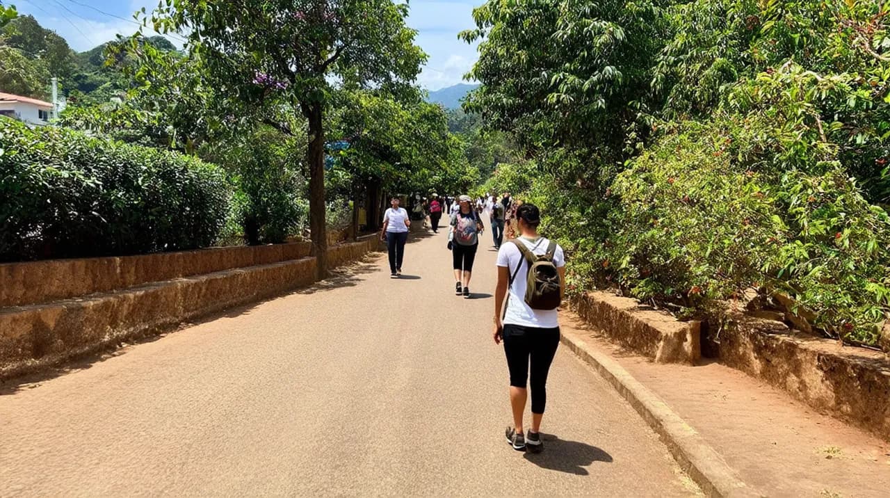 Free Guided Walking Tours Pai: Explore the Hidden Gems