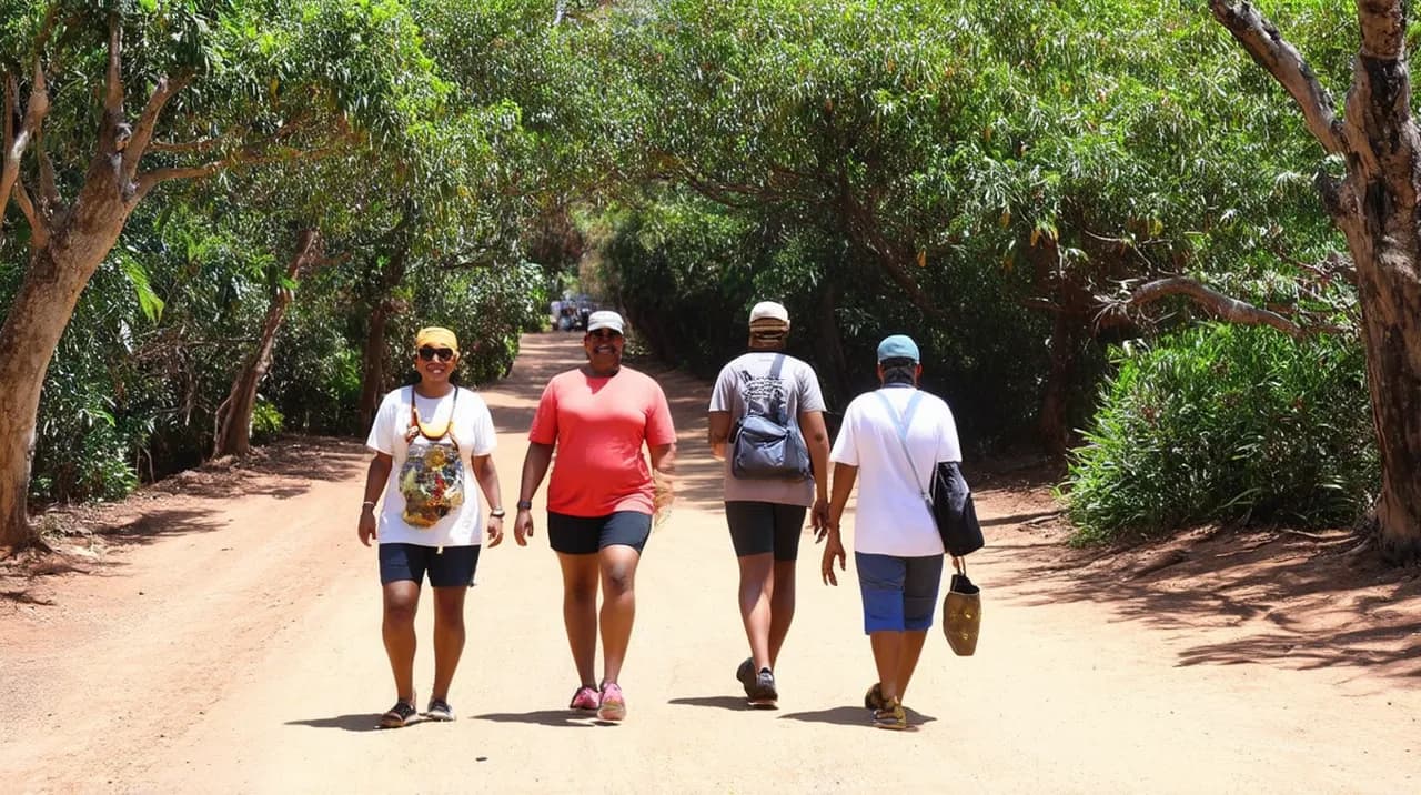 Free Guided Walking Tours Port Moresby: Explore the City