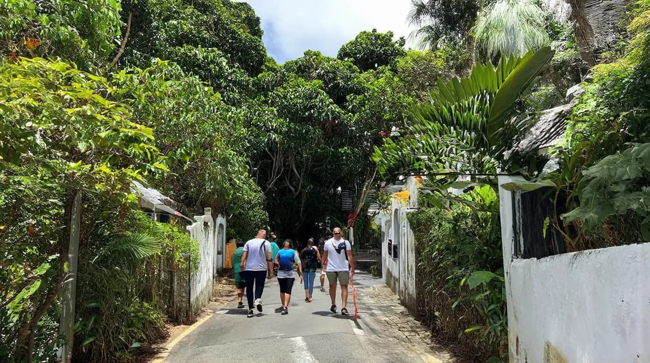 Free Guided Walking Tours Quepos: Discover the Beauty