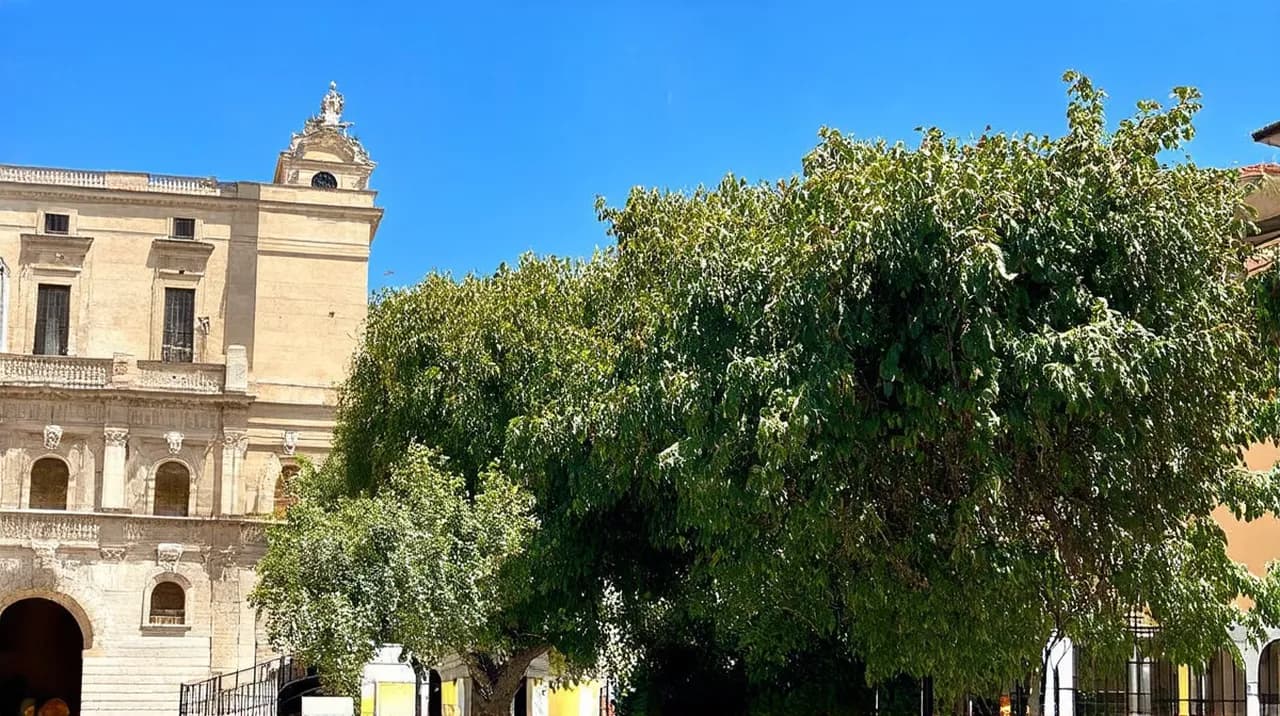 Free Guided Walking Tours Rimini: Discover the City