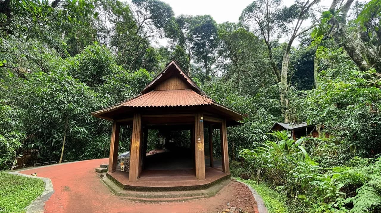 Free Historical Walking Tours Bukit Lawang