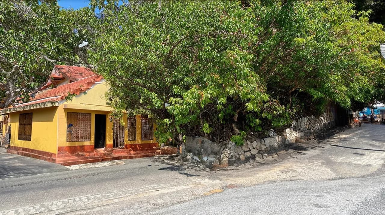 Free Historical Walking Tours Coron Town