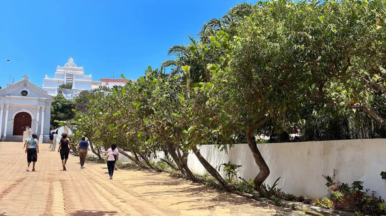 Free Historical Walking Tours Dili: Explore the Capital’s Heritage