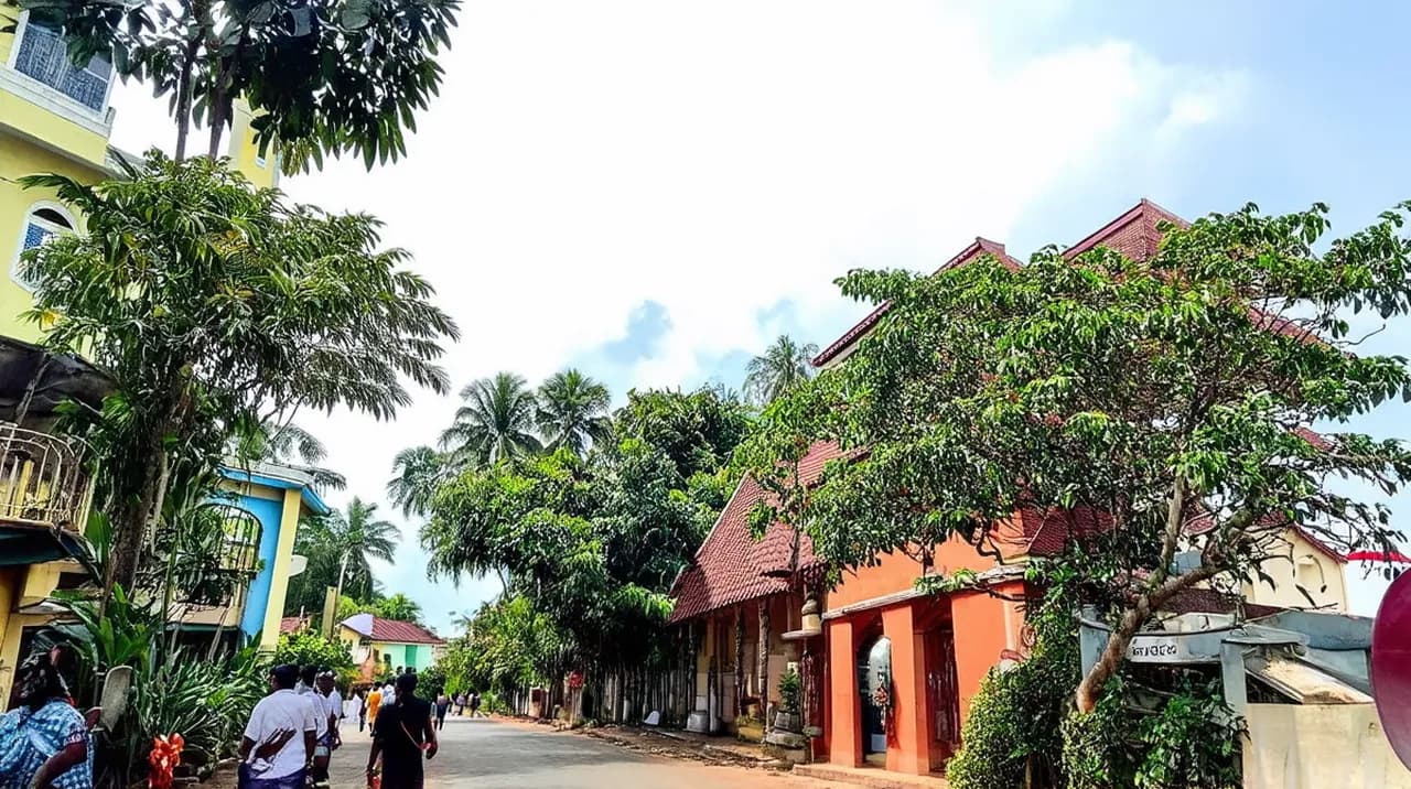 Free Historical Walking Tours Kochi: Discover the Past