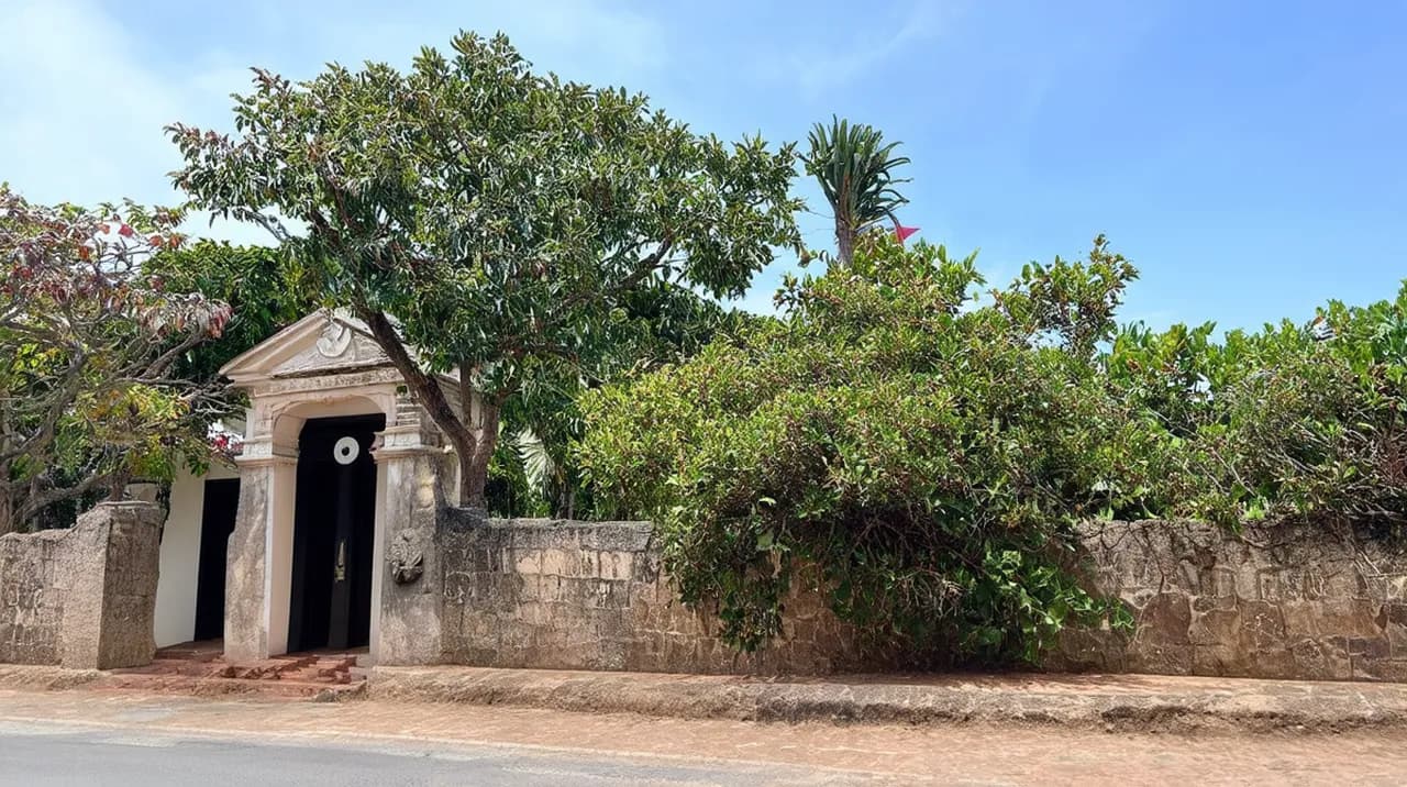 Free Historical Walking Tours Kupang: Uncover the Past