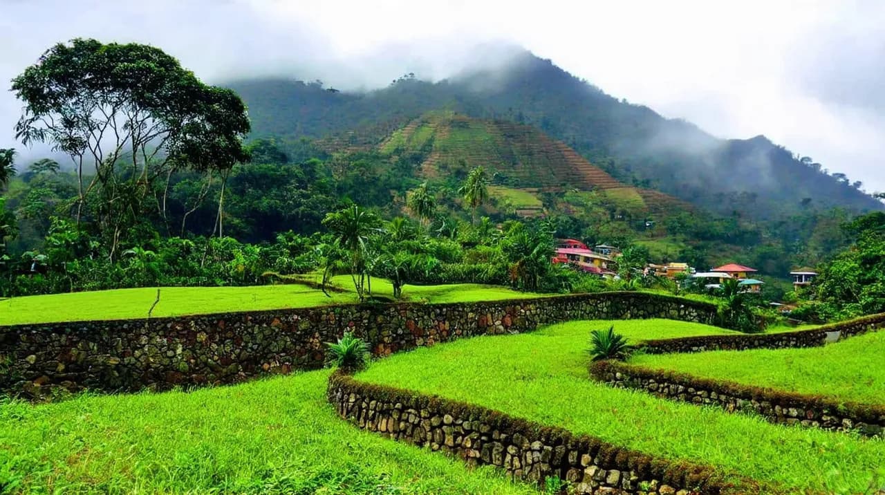 Free Historical Walking Tours Munnar: Discover the Past