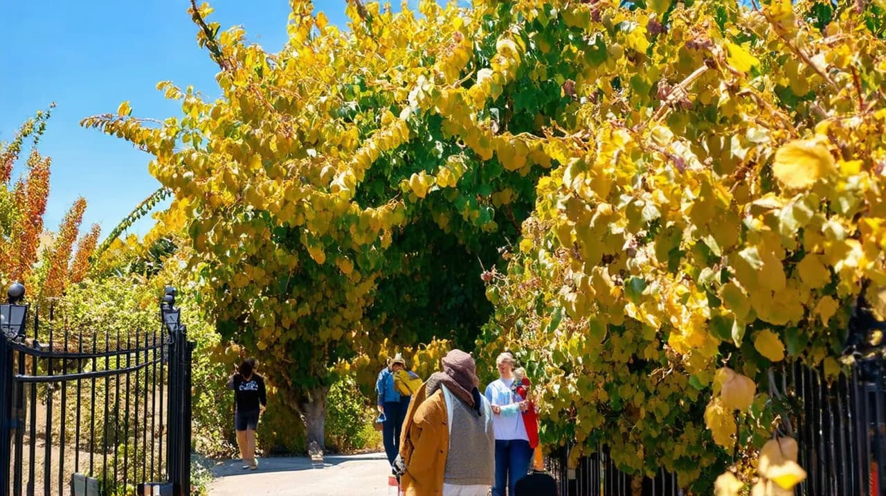 Free Historical Walking Tours Napa: Discover the Past