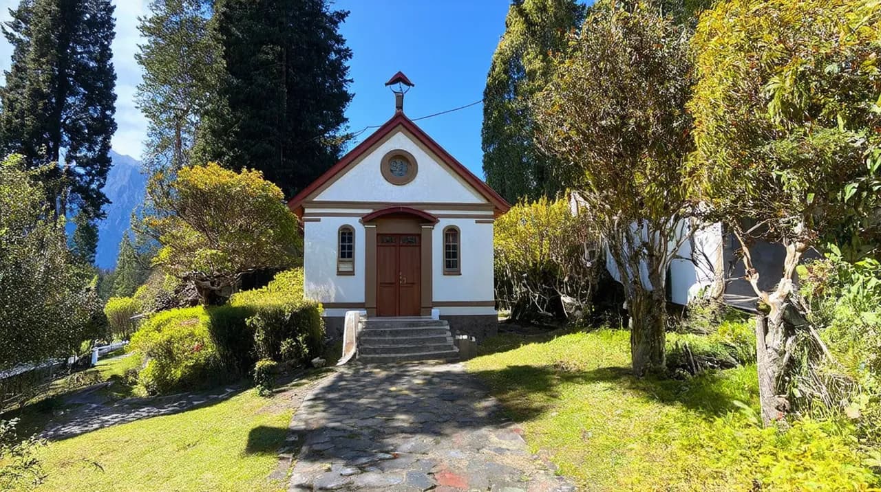 Free Historical Walking Tours Pucón: Explore Local Heritage