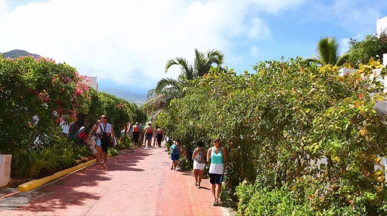 Free Historical Walking Tours Zihuatanejo