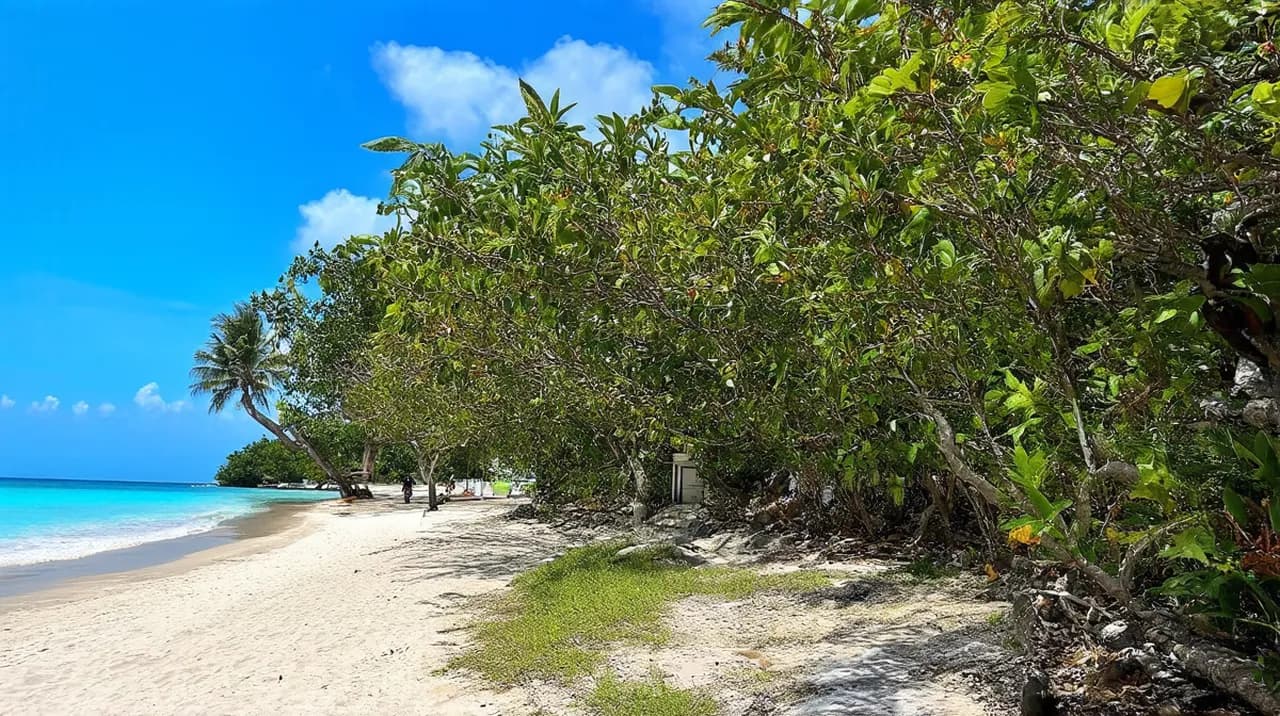 Free Walking Tour Itinerary Gili Air: Explore on Foot