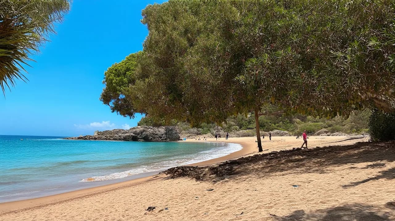 Free Walking Tour Itinerary Praia da Pipa