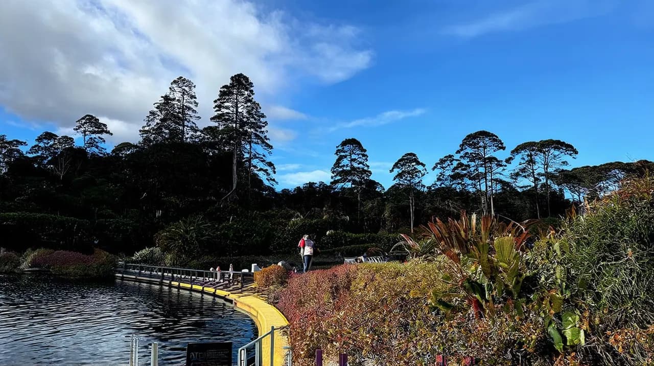 Free Walking Tour Itinerary Rotorua: Explore Nature on Foot
