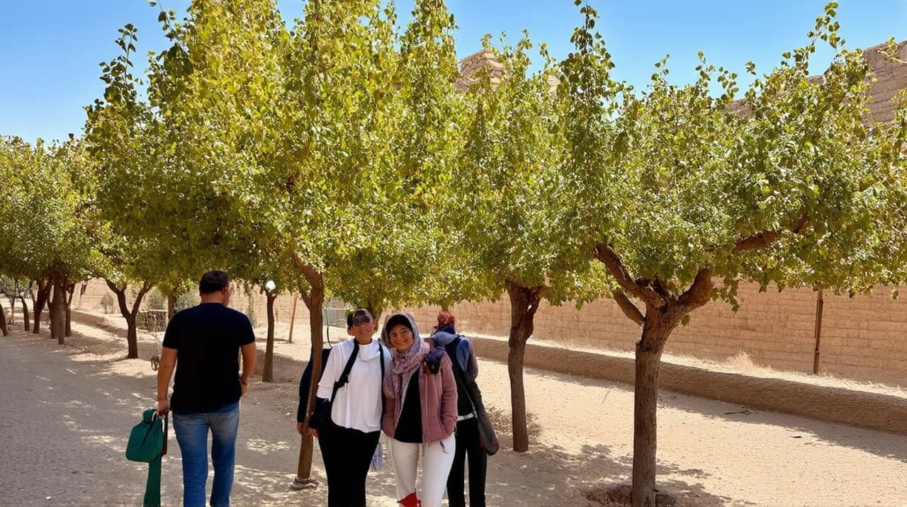 Free Walking Tour Itinerary Shiraz: Explore the City on Foot