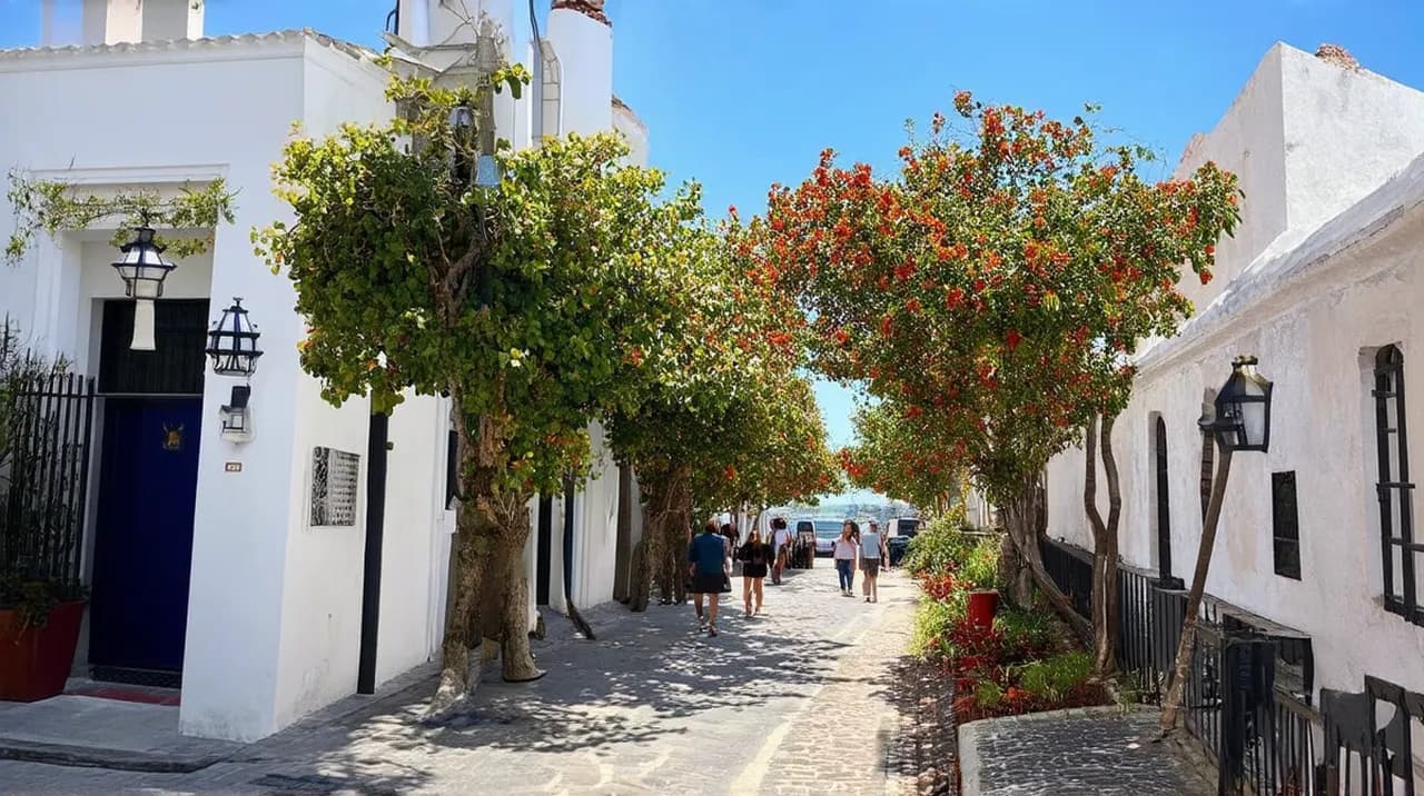Free Walking Tours Colonia del Sacramento: Explore the Historic Streets