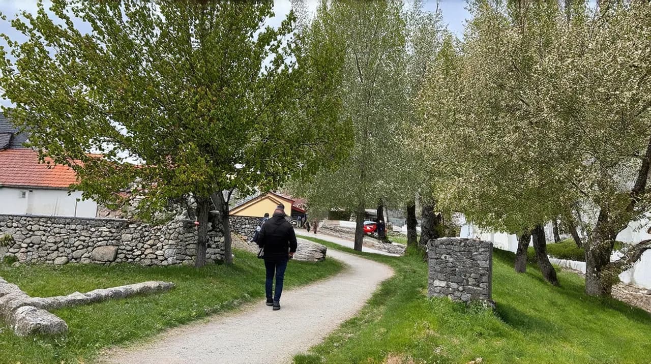 Free Walking Tours Coyhaique: Discover the City