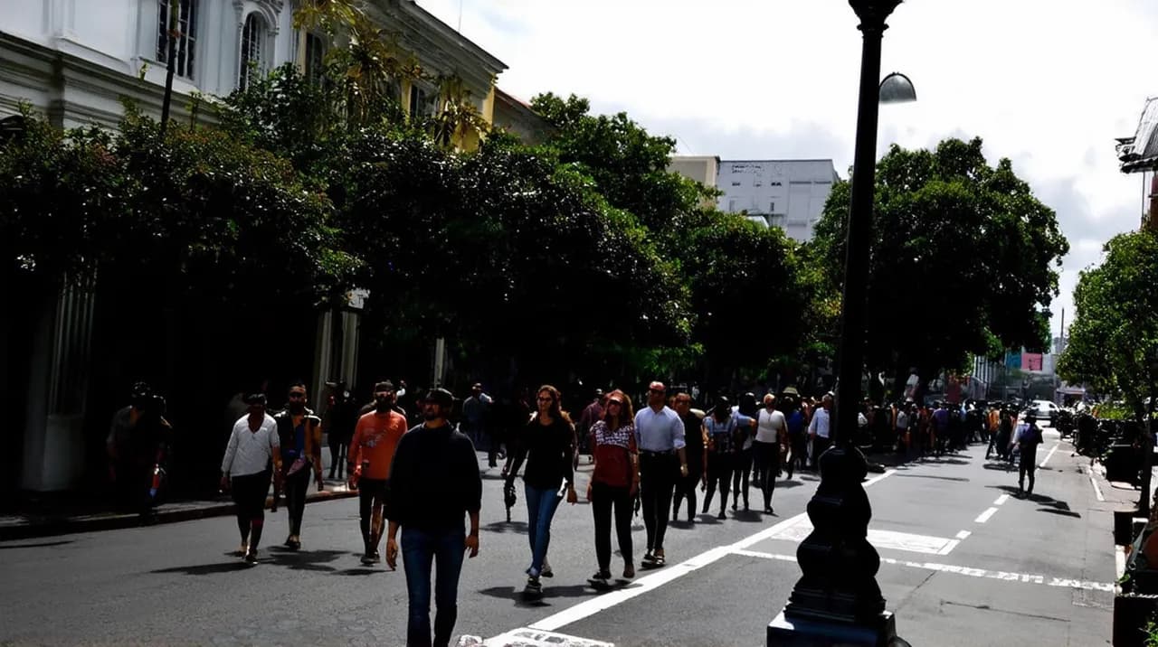 Free Walking Tours Kingston: Discover the City on Foot