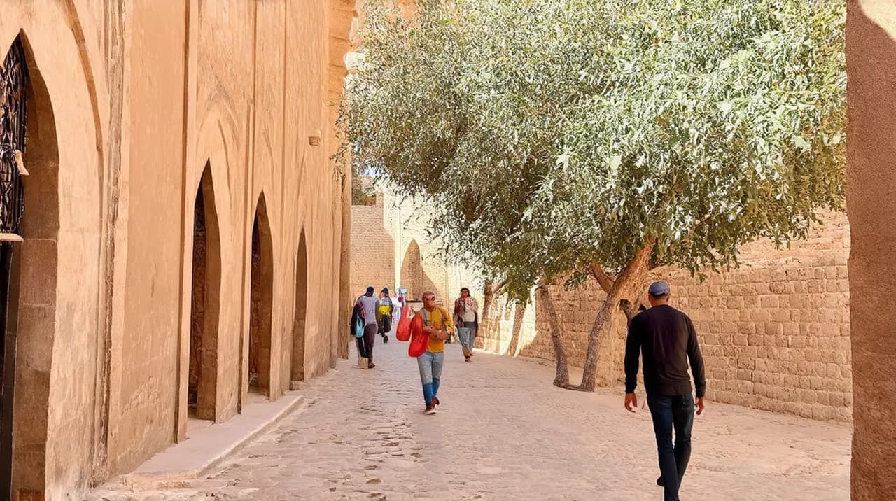 Free Walking Tours Meknes: Discover the City for Free
