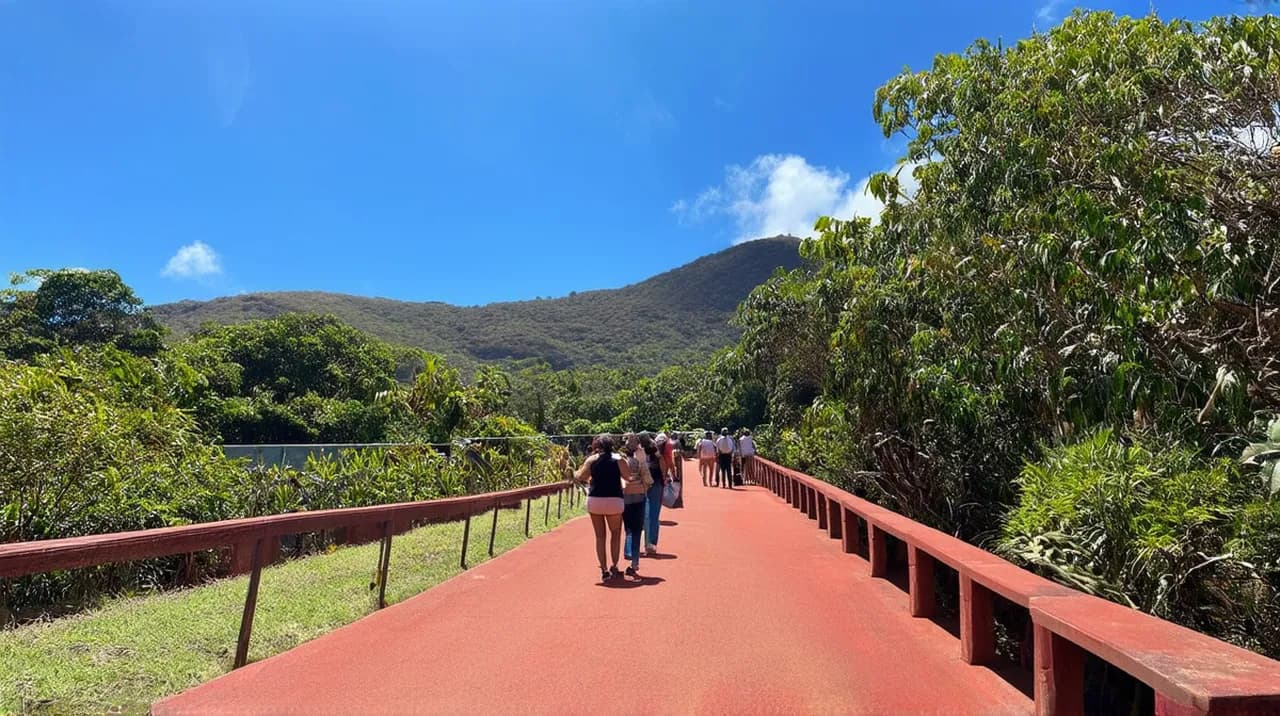 Free Walking Tours Port Moresby: Discover the Capital