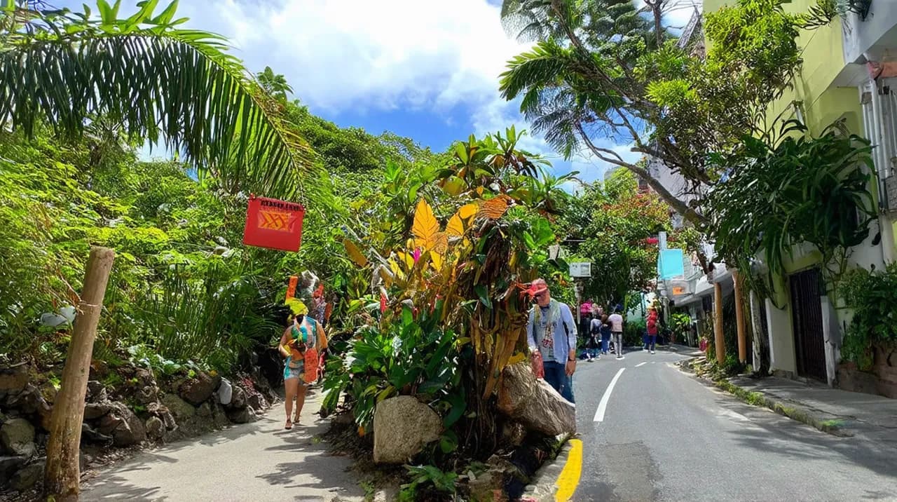Free Walking Tours Quepos: Experience Nature and Culture
