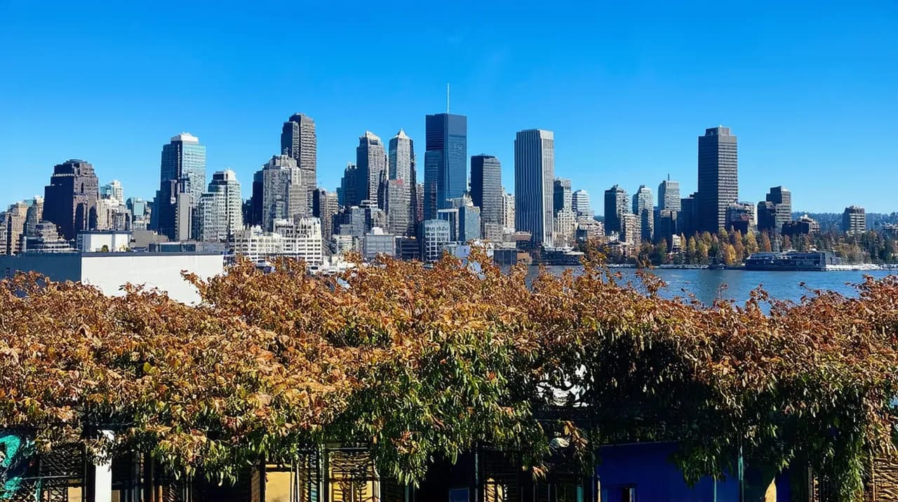 Free Walking Tours Seattle: Discover the Emerald City