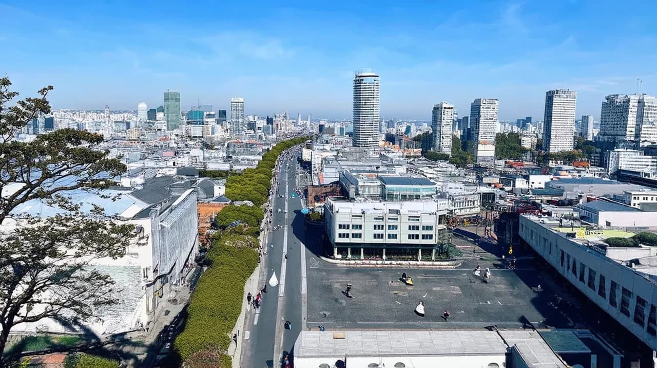 Free Walking Tours Yokohama: Discover the City on Foot