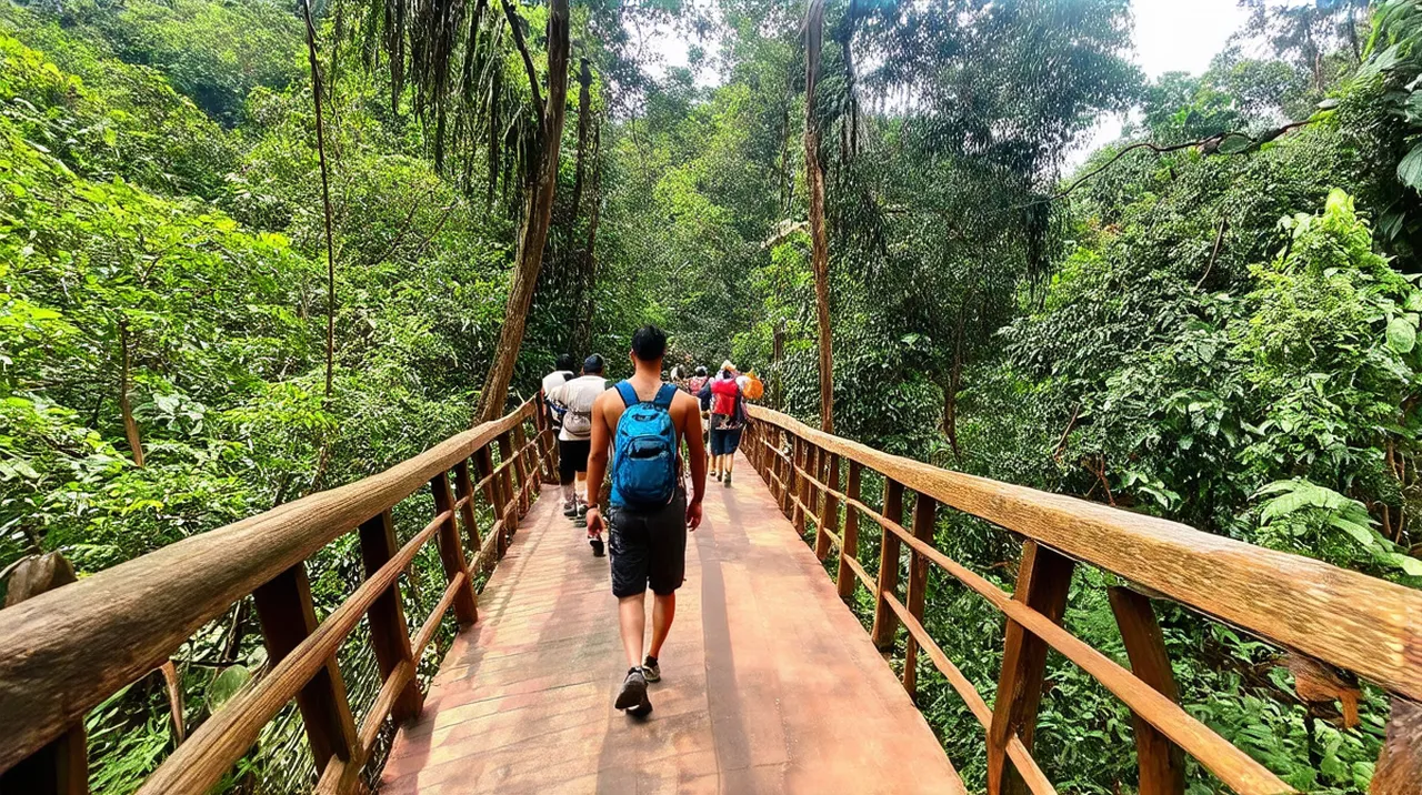 Best Free Walking Tours Bukit Lawang: Nature Awaits