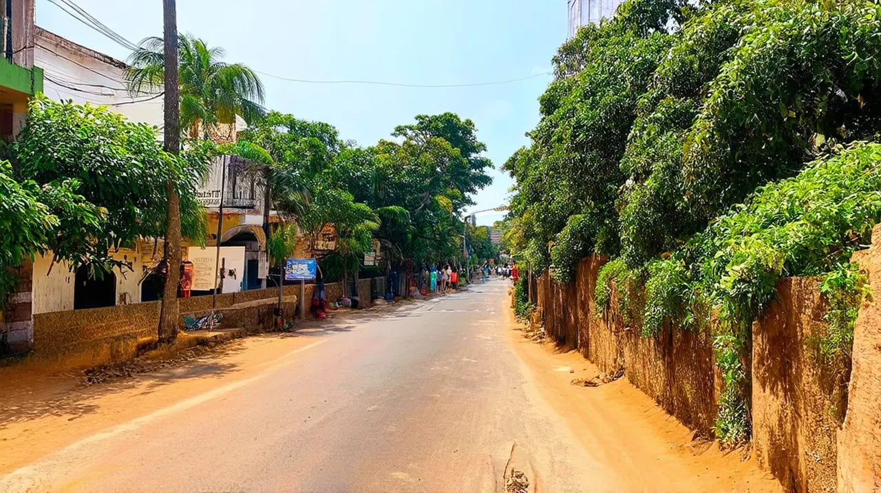 Best Free Walking Tours Tangalla & Around