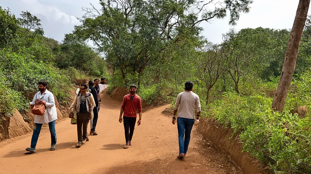 Free Guided Walking Tours Bandipur: Explore this Gem