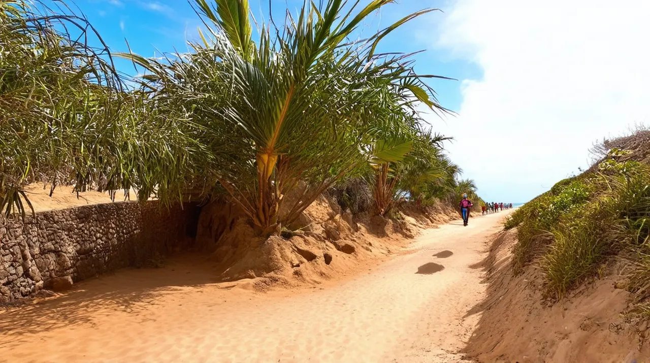 Free Guided Walking Tours Troncones: Explore the Coast