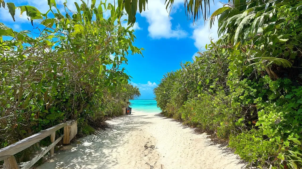 Free Walking Tour Itinerary Isla Bastimentos