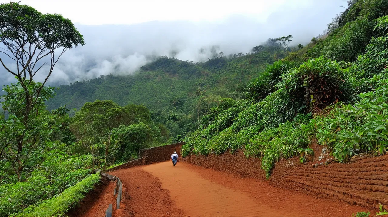 Free Walking Tour Itinerary Munnar: Explore Naturally