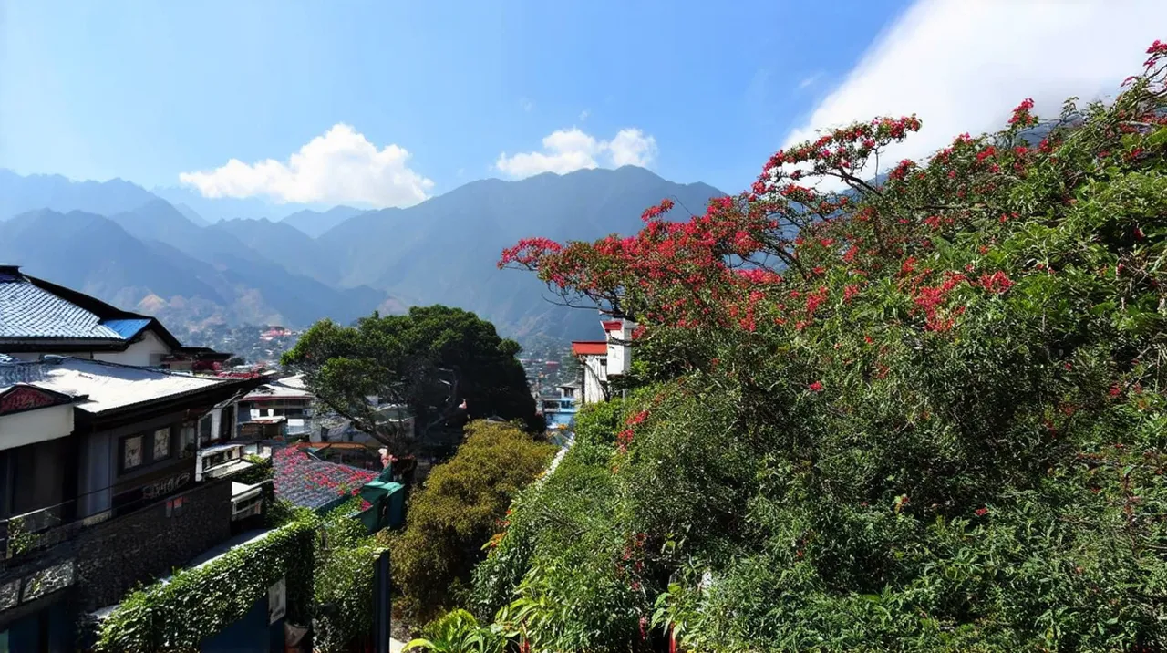 Free Walking Tours Gangtok: Experience the City on Foot
